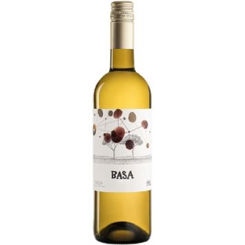 españa castilla leon rueda telmo rodriguez vino blanco basa verdejo