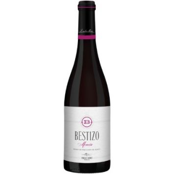 bestizo mencia vino tinto emilio moro bierzo castilla leon españa