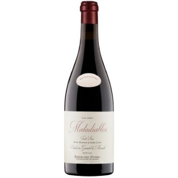 matadiablos vino tinto casa lebai ribera duero castilla leon españa