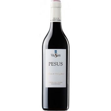 File:Botella Vino Magnum 1.5 Viña Sastre - Hermanos Sastre Ribera del  Duero.JPG - Wikimedia Commons