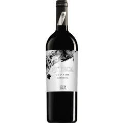 atteca vino tinto calatayud aragon españa