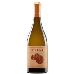 triga chardonnay vino blanco crianza bodegas volver rafael cañizares alicante españa