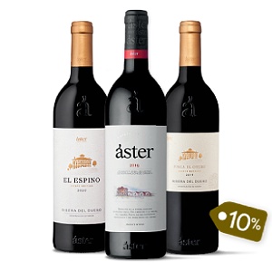 ÁSTER, siente el terruño de la Ribera del Duero